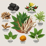 Cápsulas 8 en 1 - Shilajit Ashwagandha Rhodiola Rosea Panax y Ginseng
